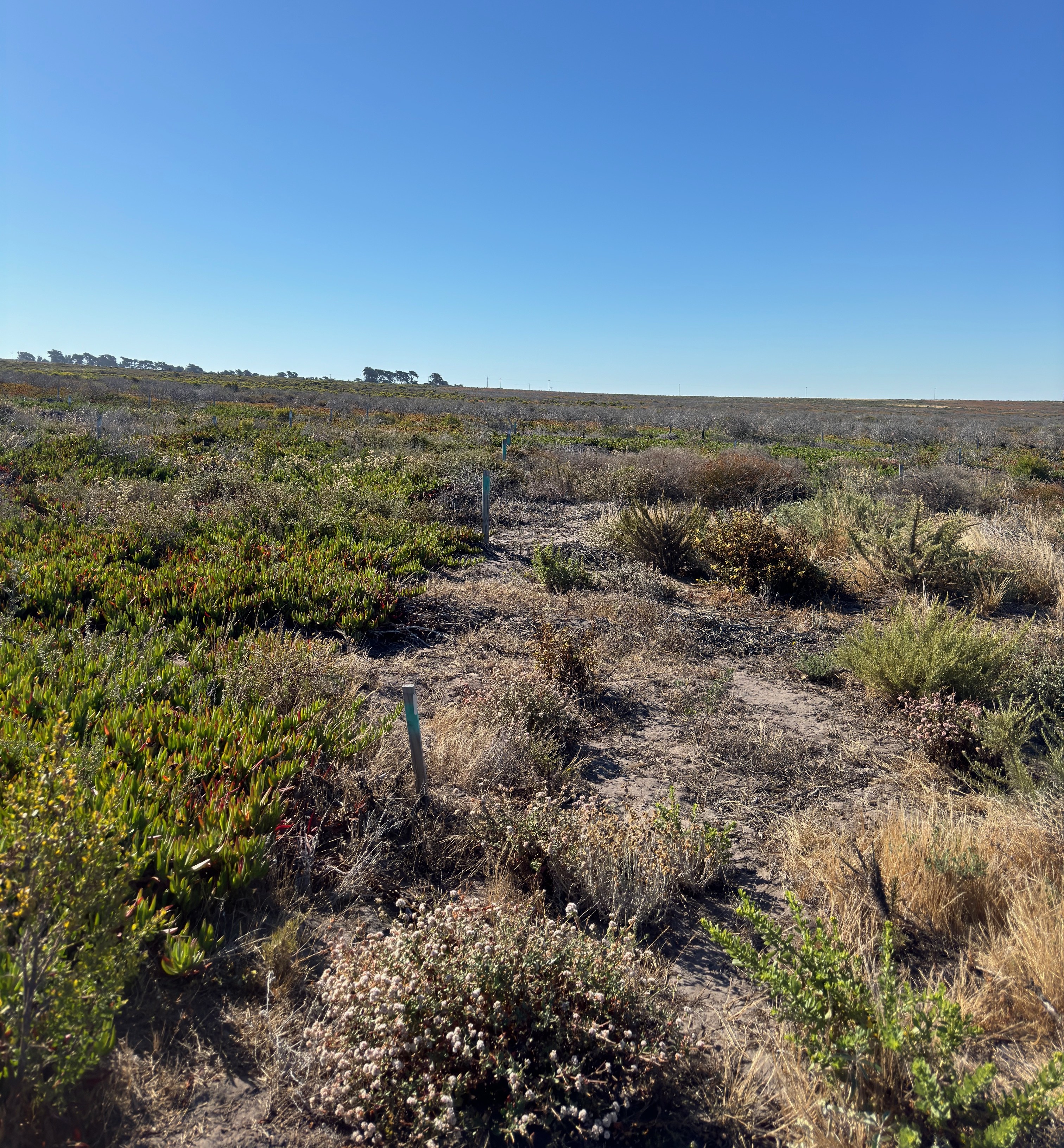 One of many study sites!